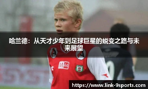 九游体育官网入口
